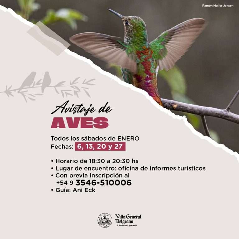 Actividades-Verano-2023-24-09