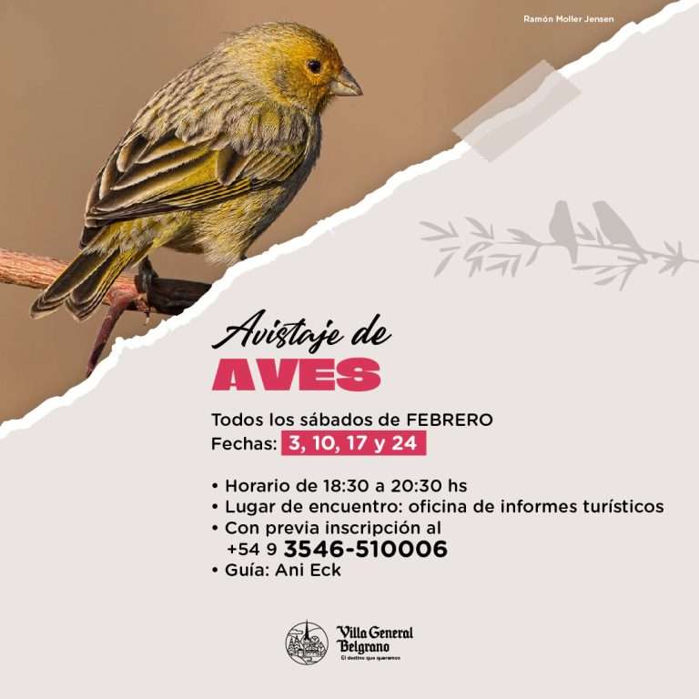 Actividades-Verano-2023-24-10