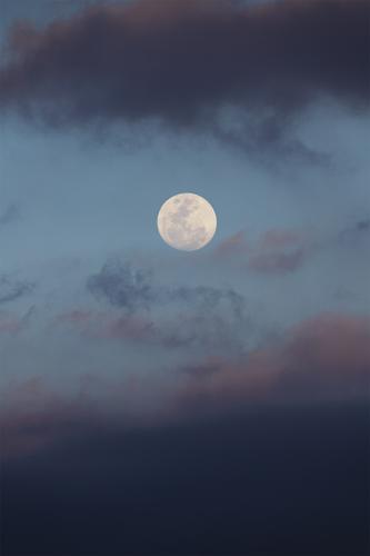 actividades-guiadas-verano-2024-11