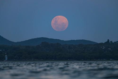 actividades-guiadas-verano-2024-4