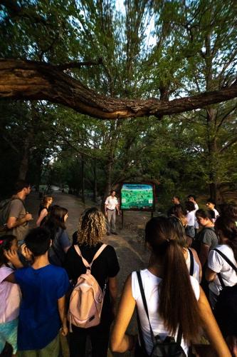 actividades-guiadas-verano-2024-9